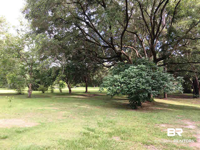 23220 McPhillips Road Loxley, AL 36551 - Photo 24 of 29 Back Yard