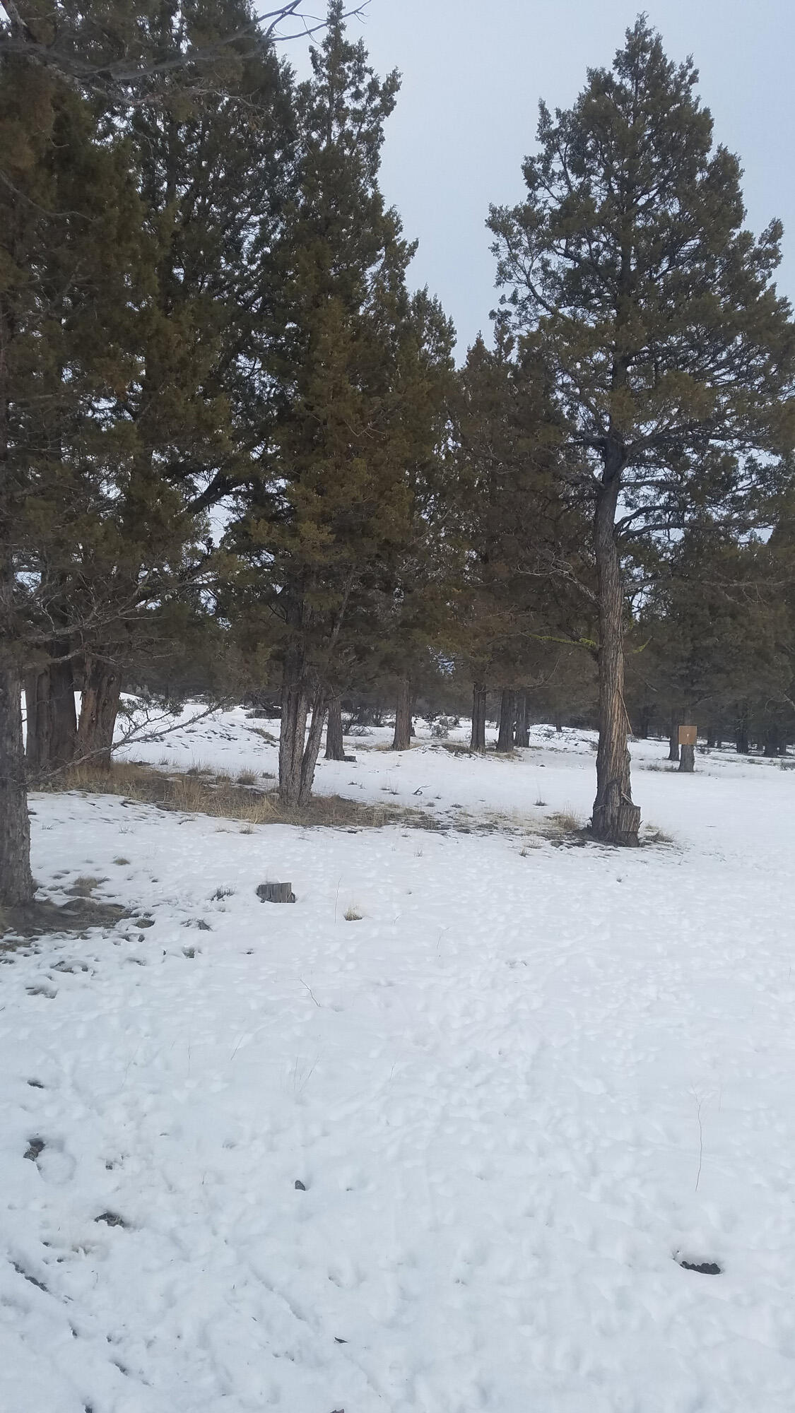 16511 Fishhole Creek Road Bly, OR 97622 - Photo 95 of 96 00153