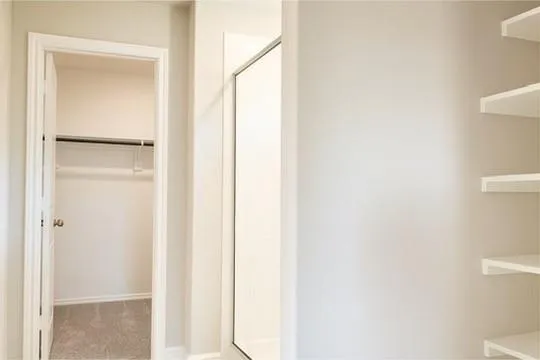 a bathroom with a shower and a toilet