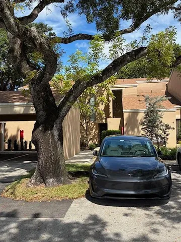 a view of a yard with plants