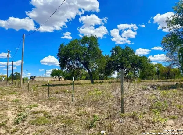 a view of a yard with an tree