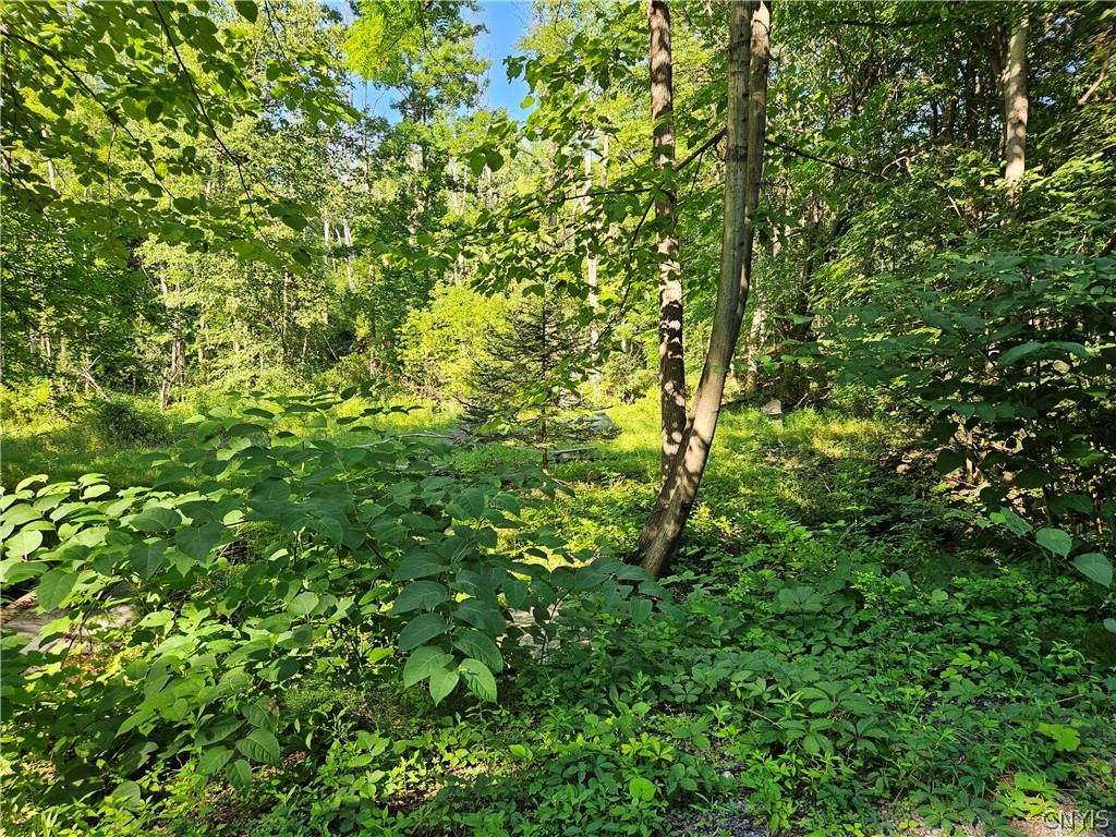 Stables Road Chittenango, NY 13037 - Photo 5 of 5