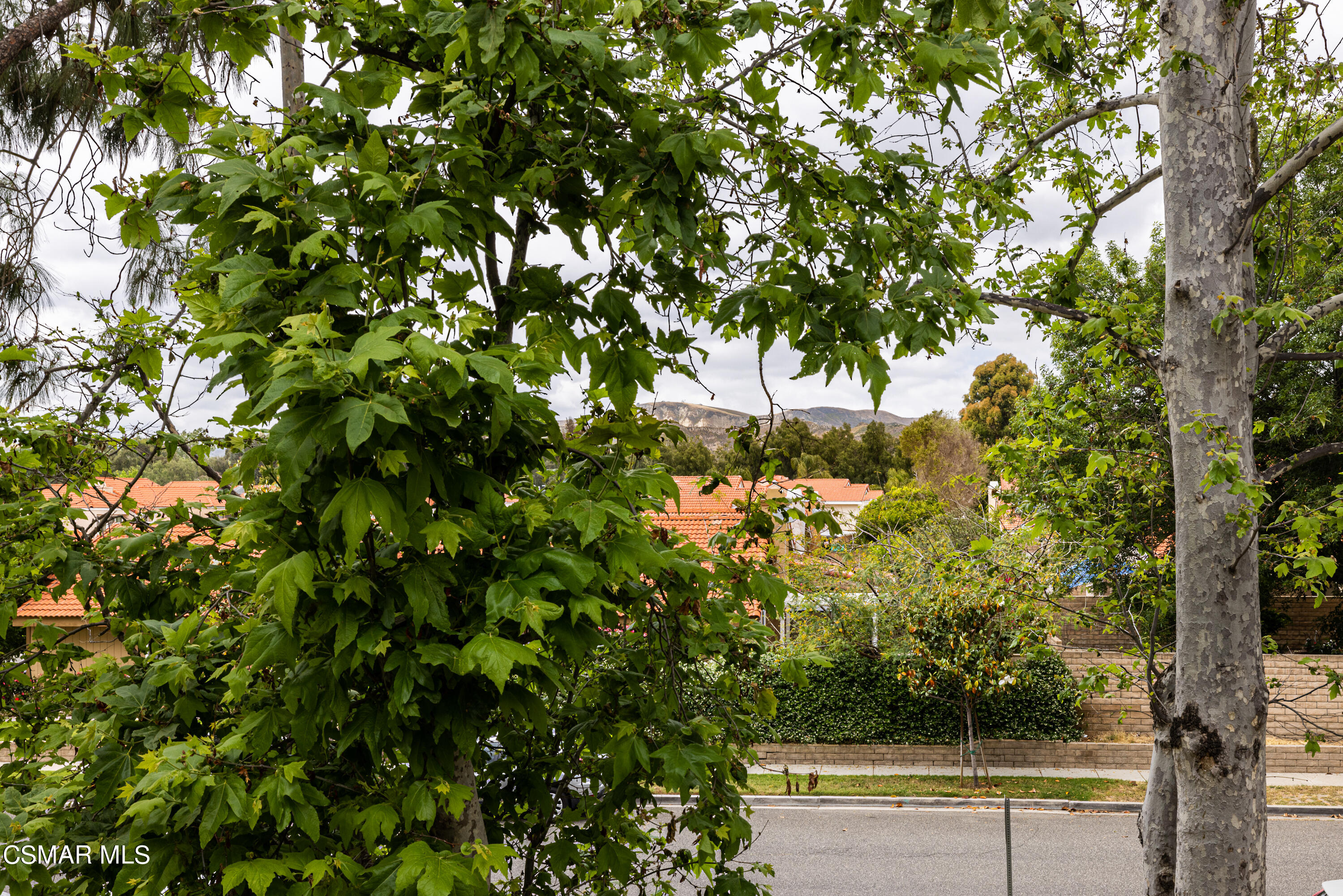 3330 Darby Street, Unit 409 Simi Valley, CA 93063 - Photo 20 of 27 a view of a forest