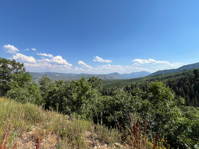 88 St Springville Ut 84663, Unit 88 Springville, UT 84663 - Photo 4 of 12 Expansive natural landscape featuring lush green foliage and distant mountain ranges under a clear sky