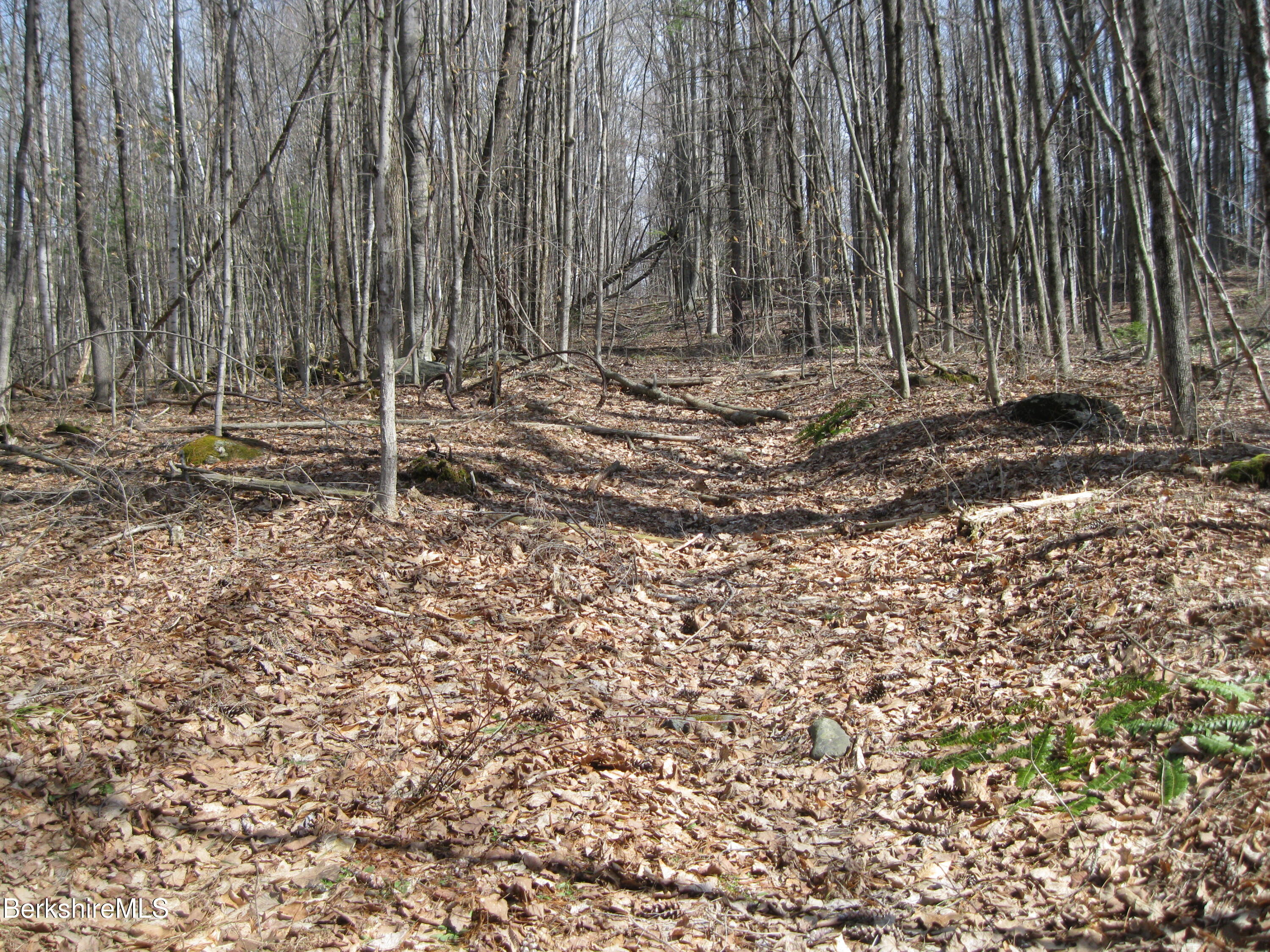 0 Mohawk Lake Road Stockbridge, MA 01262 - Photo 1 of 5 IMG_4232