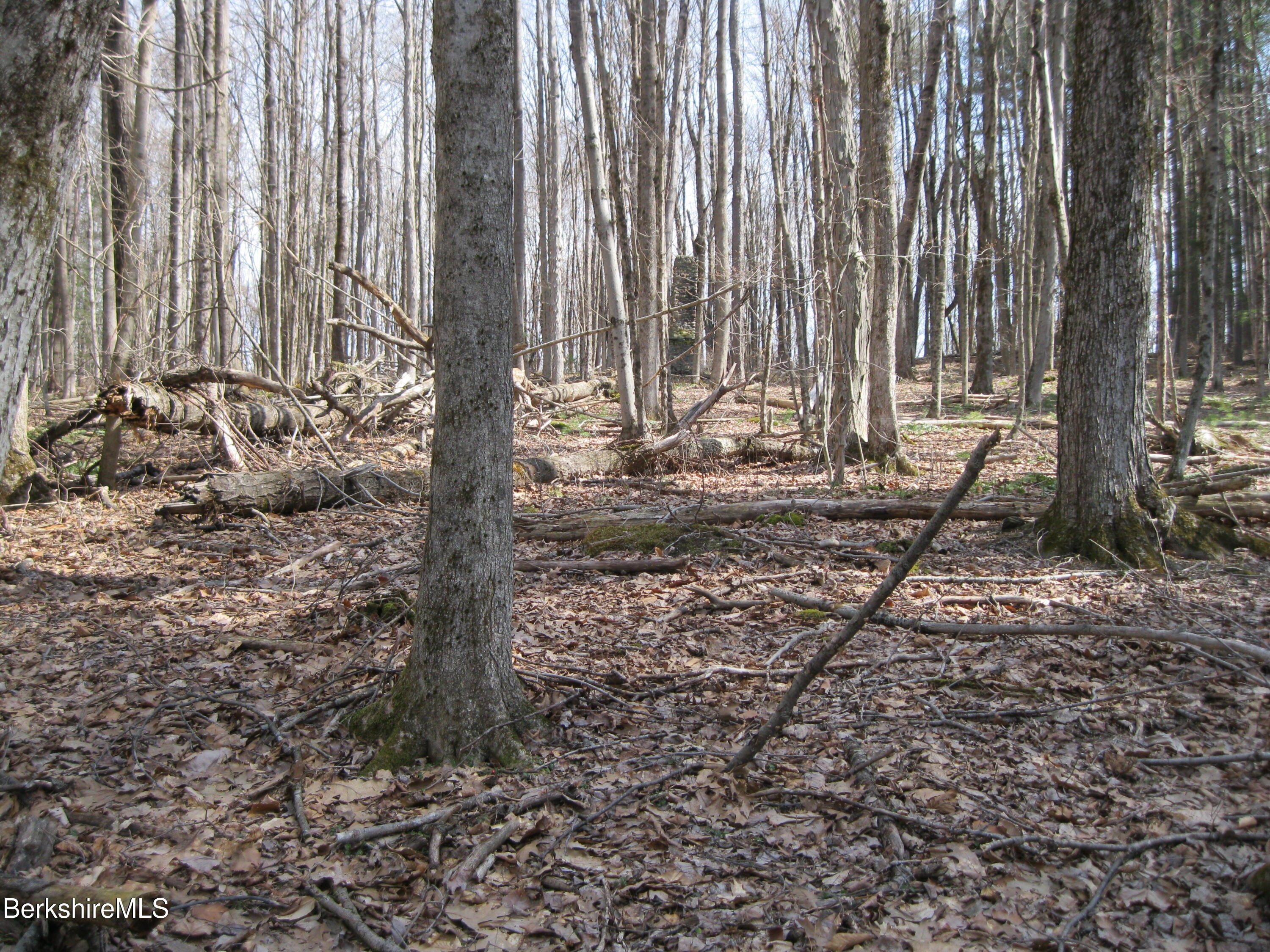 0 Mohawk Lake Road Stockbridge, MA 01262 - Photo 4 of 5 IMG_4234