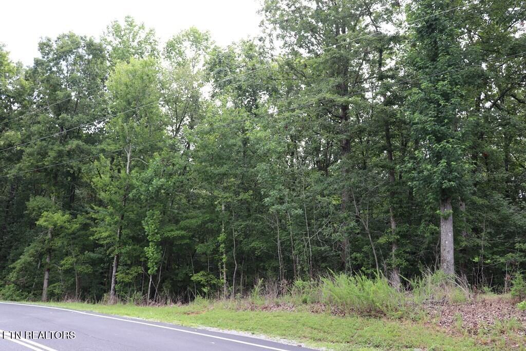 0 Moonlight Bay Drive Sparta, TN 38583 - Photo 2 of 5 238144_3