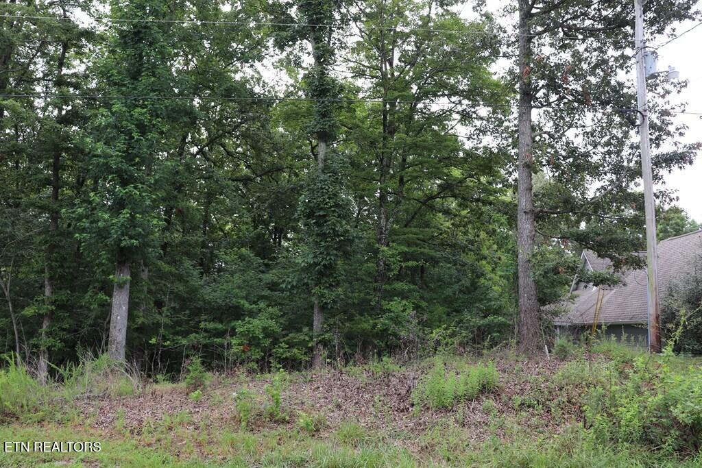 0 Moonlight Bay Drive Sparta, TN 38583 - Photo 3 of 5 238144_4