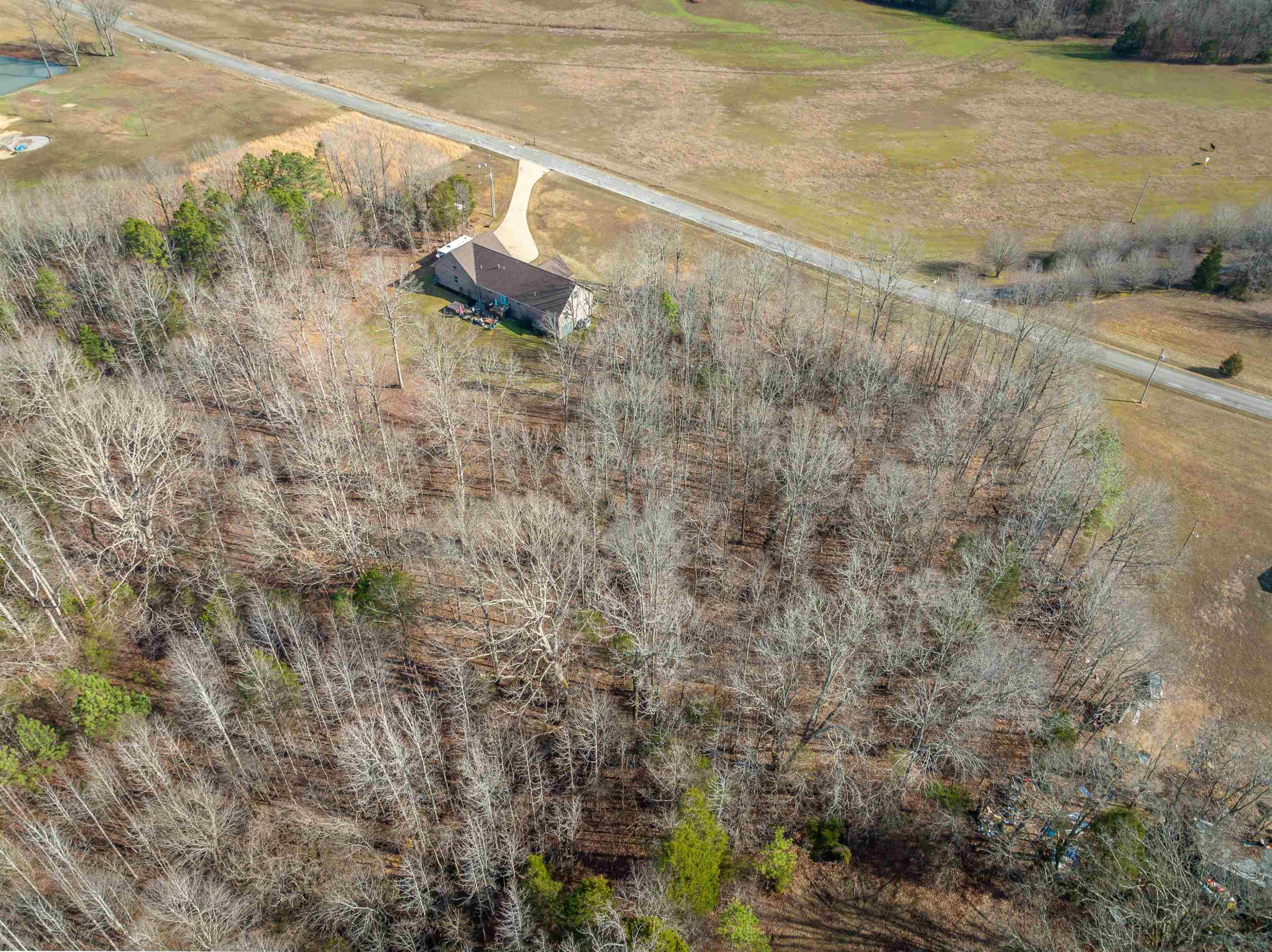 192 Austin Chapel Road Sardis, TN 38371 - Photo 16 of 20 Photo 16