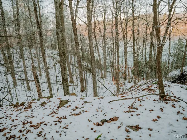 $130,000 | Lot 2 Dewey Point Lane, Harrisville, NY 13648