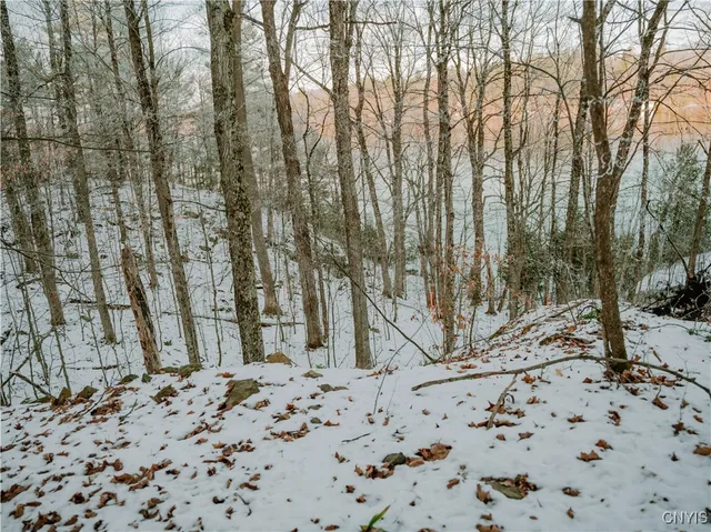 $130,000 | Lot 2 Dewey Point Lane, Harrisville, NY 13648