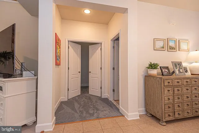 a living room with furniture a lamp and a potted plant