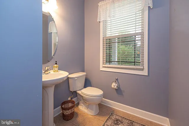 a living room with furniture potted plant and a large window