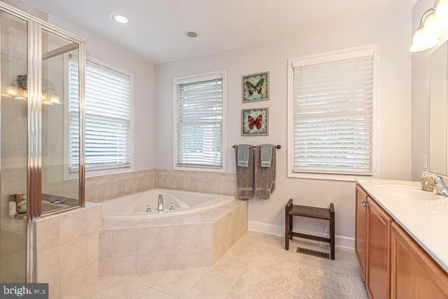 a bathroom with a sink a large mirror and a potted plant