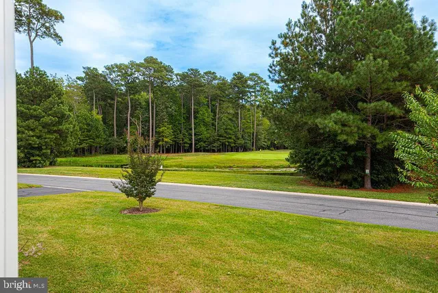 a living room with fireplace furniture and a fireplace