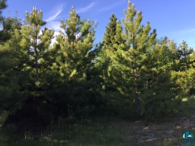 1142 Camp 20 Road Grand Marais, MN 55604 - Photo 15 of 17