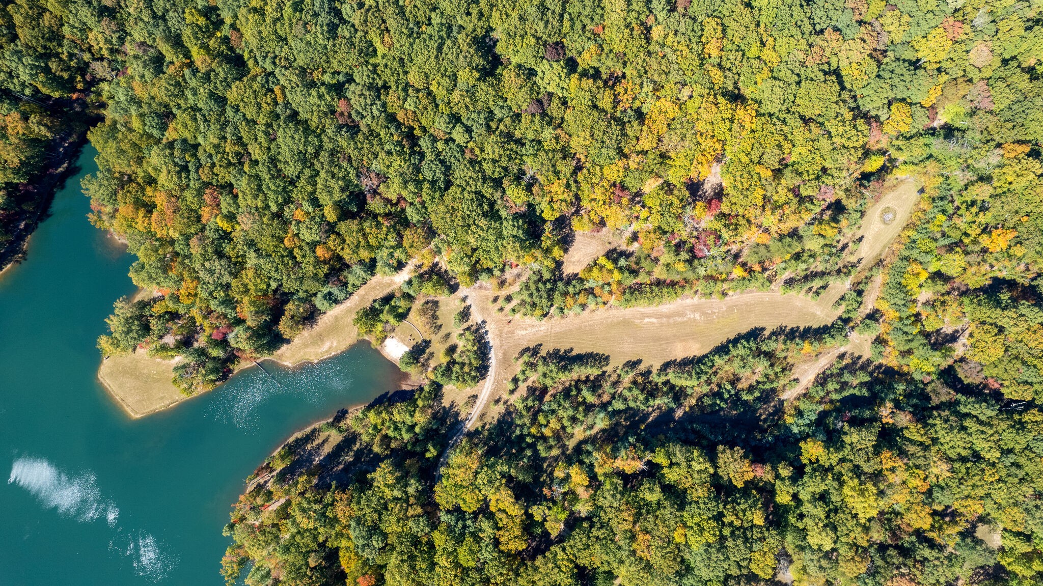 15 Myers Point Road Sewanee, TN 37375 - Photo 22 of 23 a view of a plant in a garden