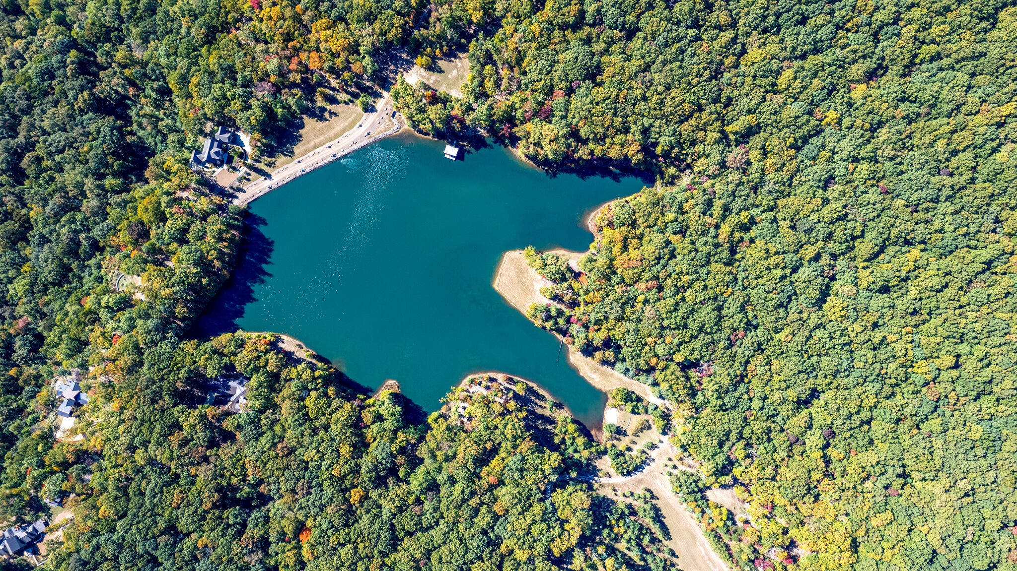 15 Myers Point Road Sewanee, TN 37375 - Photo 23 of 23 a close up of a flower in a garden