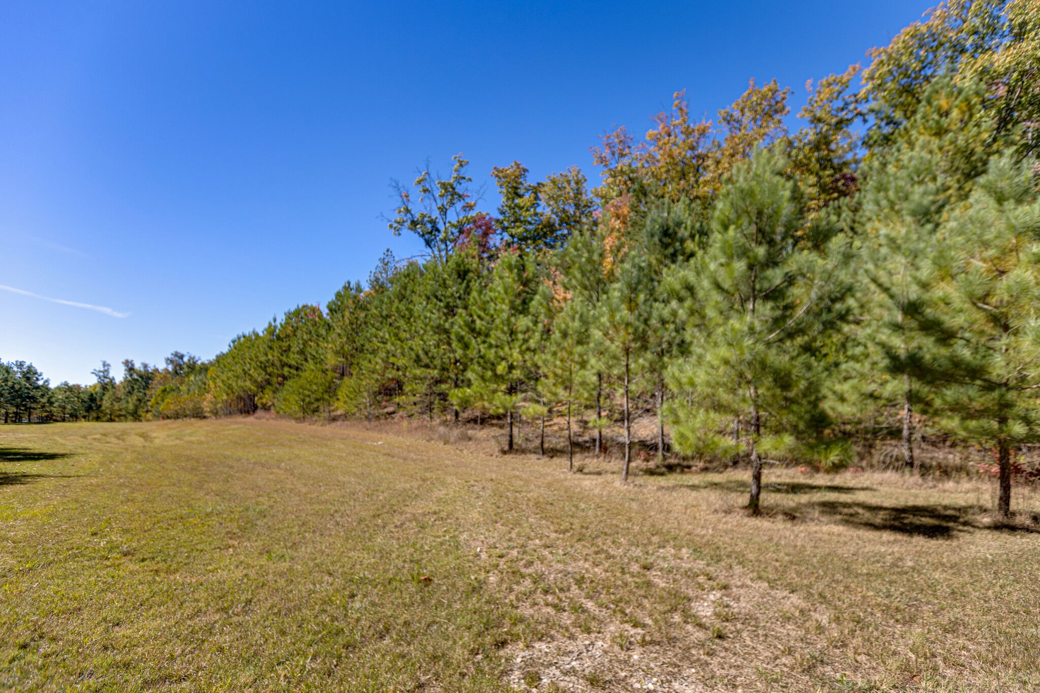 15 Myers Point Road Sewanee, TN 37375 - Photo 3 of 23 a view of a field with an trees