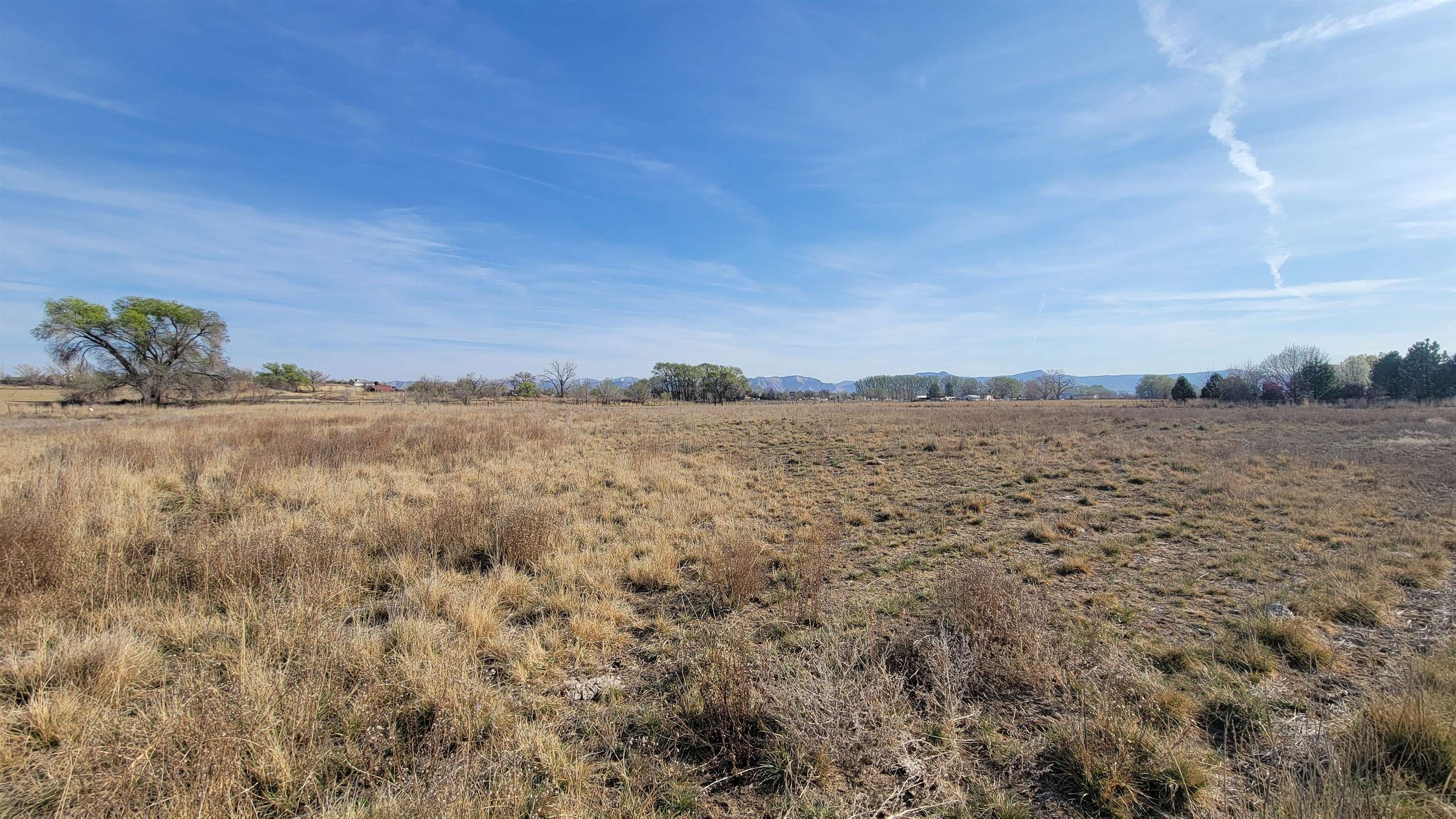 1844 M Road Fruita, CO 81521 - Photo 3 of 32