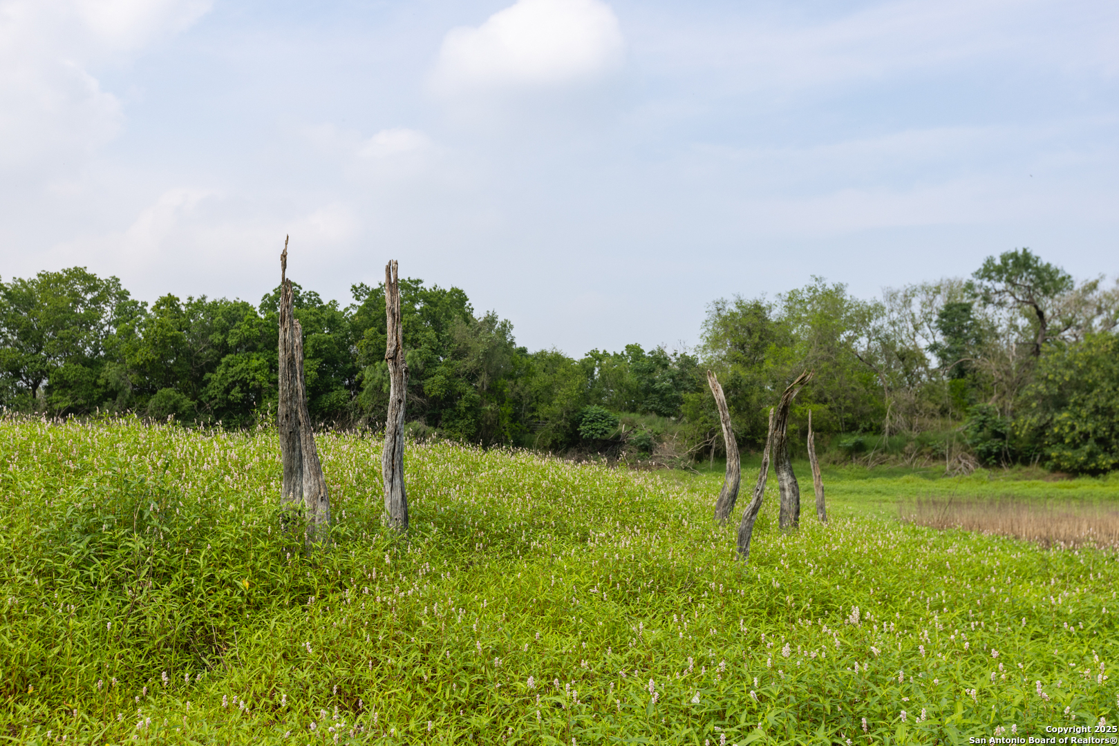 Tract 2 Shepherd Road Atascosa, TX 78002 - Photo 12 of 16 a view of a park
