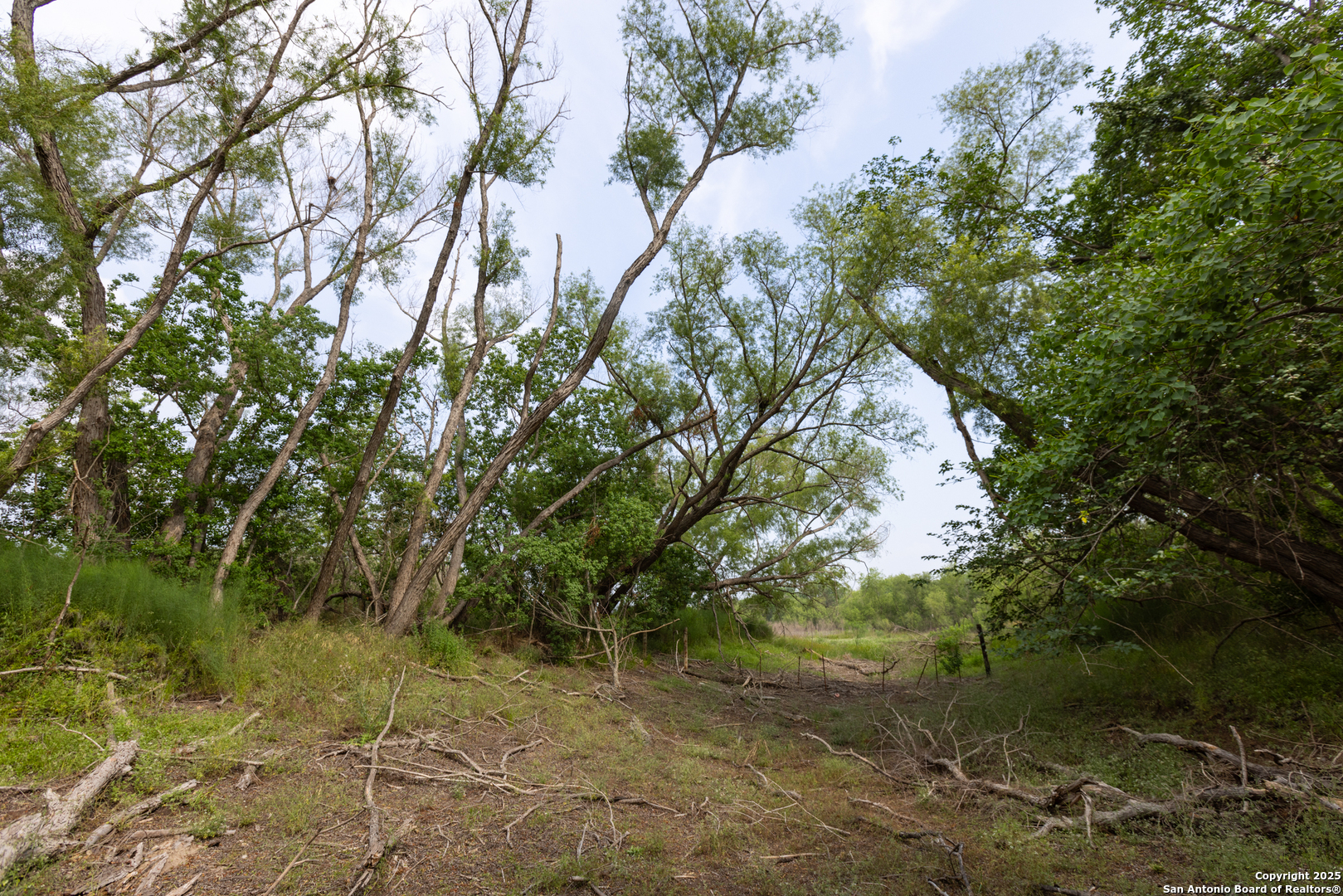 Tract 2 Shepherd Road Atascosa, TX 78002 - Photo 15 of 16 a view of a yard