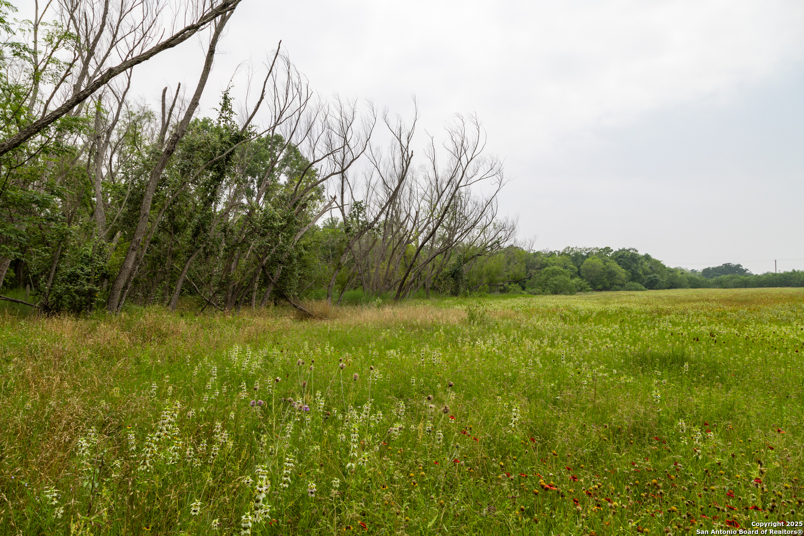 Tract 2 Shepherd Road Atascosa, TX 78002 - Photo 2 of 16 a view of a lush green outdoor space with a lake view