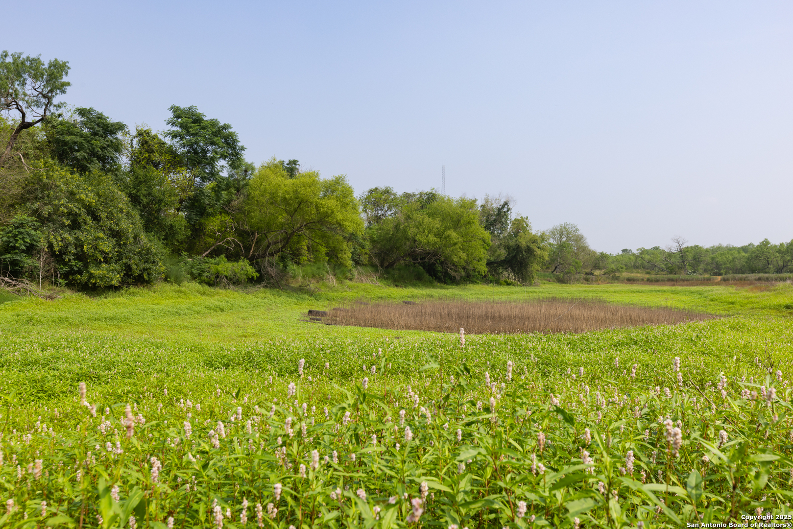 Tract 2 Shepherd Road Atascosa, TX 78002 - Photo 10 of 16 a view of a garden and basketball court