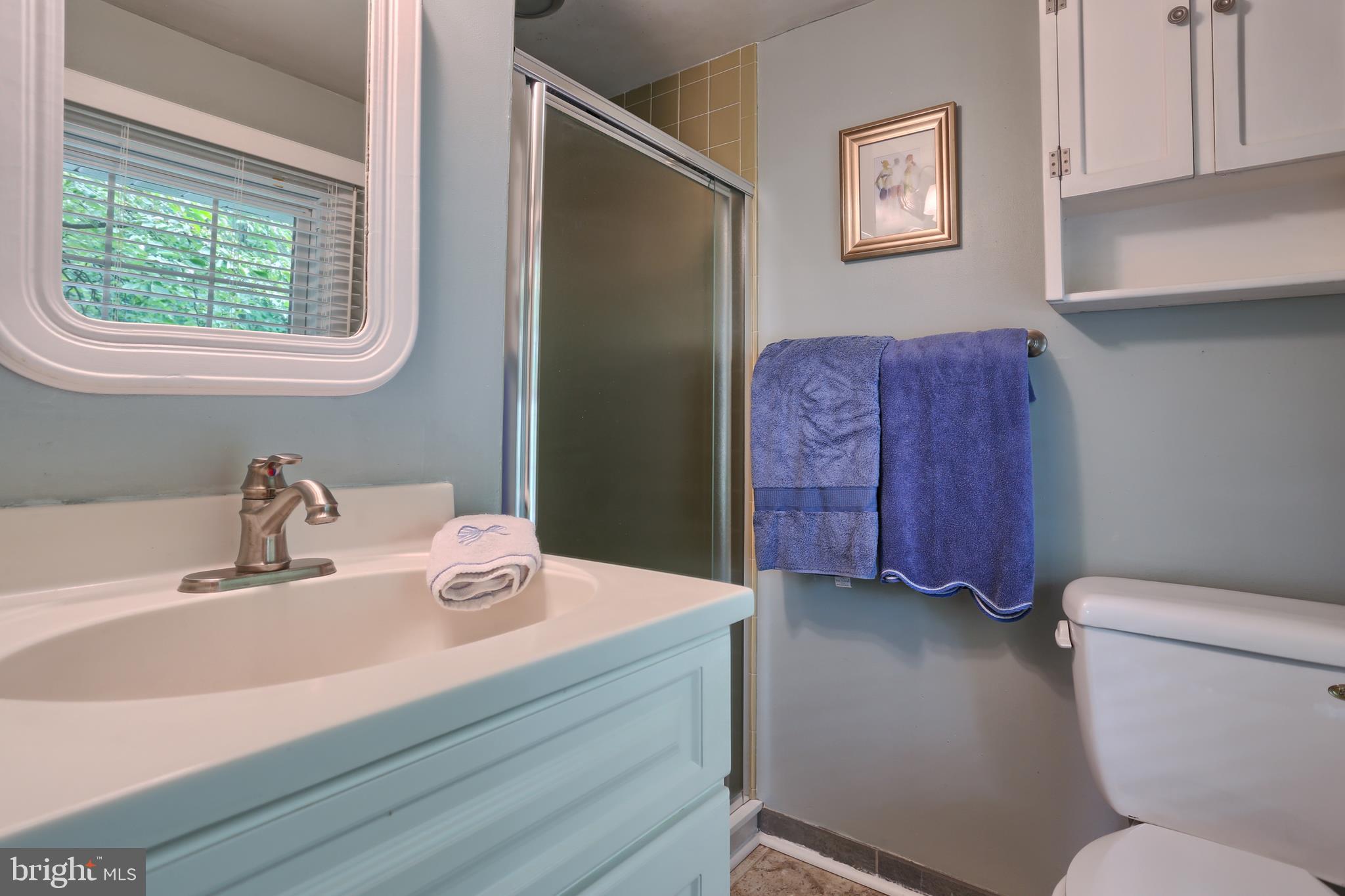256 Harvey Road Hershey, PA 17033 - Photo 27 of 56 Master bath, tile, raised vanity