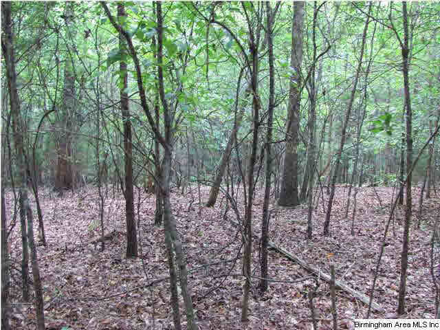 100 Cahaba Oaks Trail Pelham, AL 35124 - Photo 20 of 24