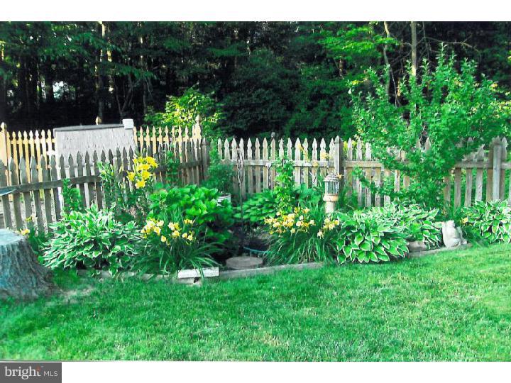 78 Flint Road Langhorne, PA 19047 - Photo 20 of 25 Back Yard