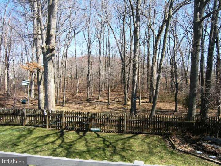78 Flint Road Langhorne, PA 19047 - Photo 23 of 25 View in Back