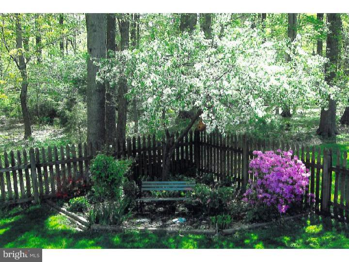 78 Flint Road Langhorne, PA 19047 - Photo 24 of 25 Back Yard