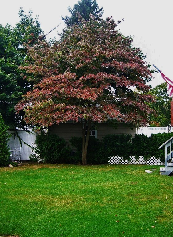 100 Damon Road Medford, MA 02155 - Photo 6 of 29 Gallery Image 6