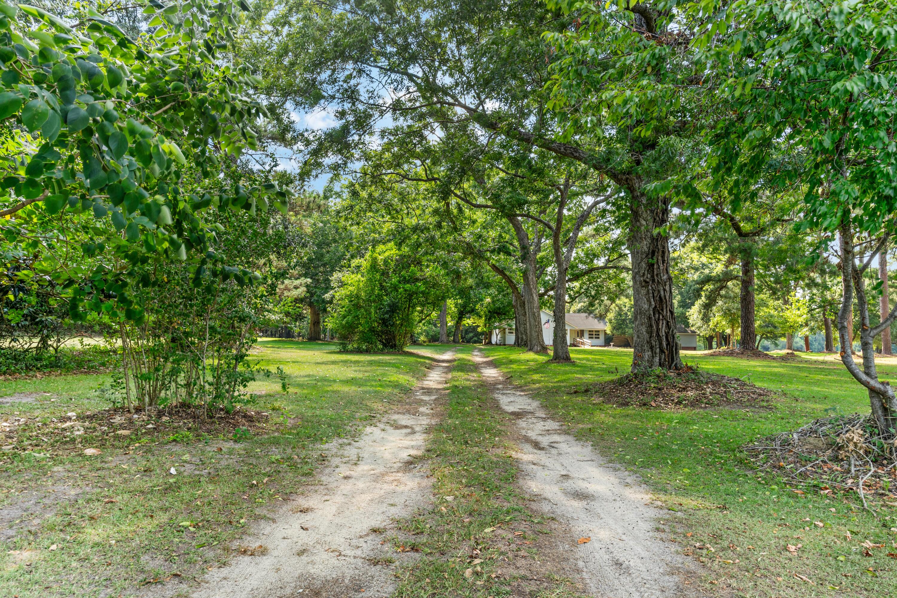 3022 Cordova Road Cordova, SC 29039 - Photo 4 of 35 DSC03004