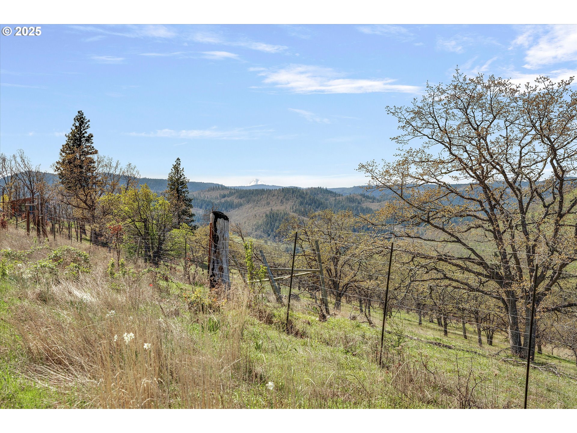 1805 Carroll Road Mosier, OR 97040 - Photo 39 of 45 a view of outdoor space and mountain view