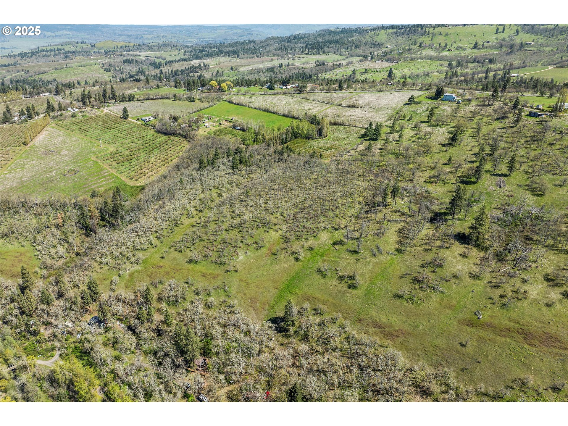 1805 Carroll Road Mosier, OR 97040 - Photo 40 of 45 a view of a big yard with lots of trees