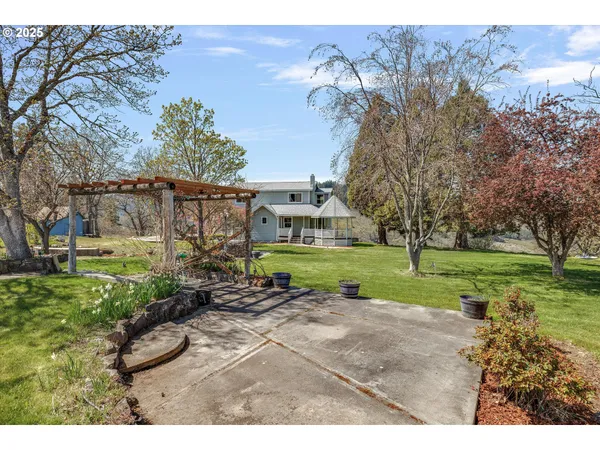 a view of a park with large trees