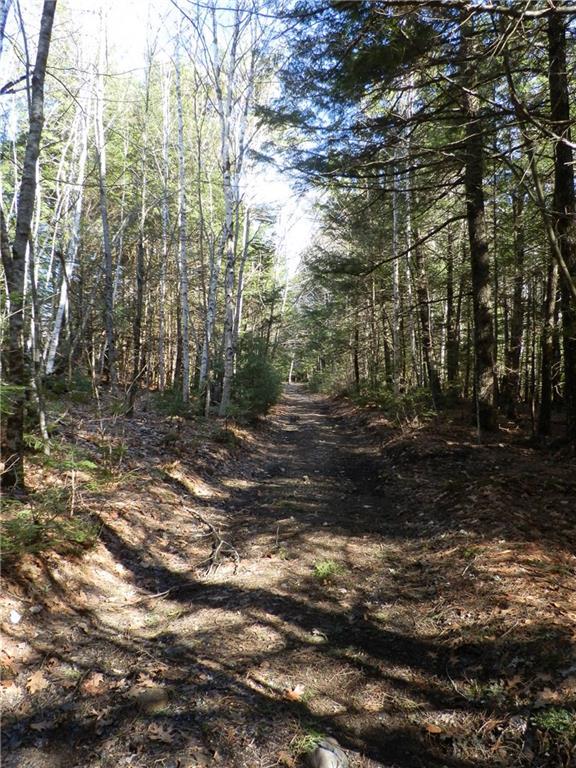 Lot 23 Lilly Pond Road Beddington, ME 04622 - Photo 29 of 29 Photo