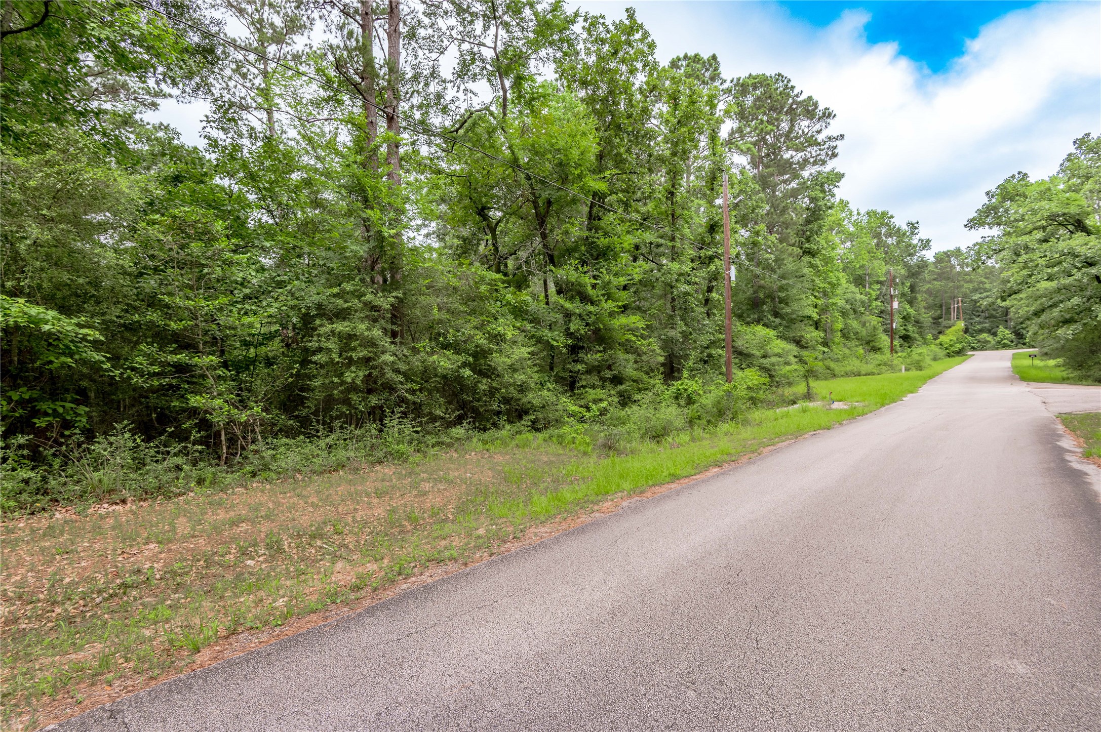 Lot 08 Oak Drive Trinity, TX 75862 - Photo 9 of 32