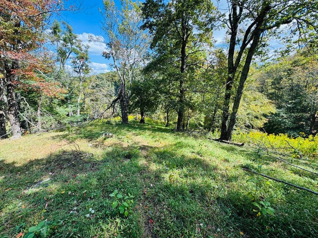 5771 Joy Ranch Road Fancy Gap, VA 24328 - Photo 44 of 45 Gallery Image 44