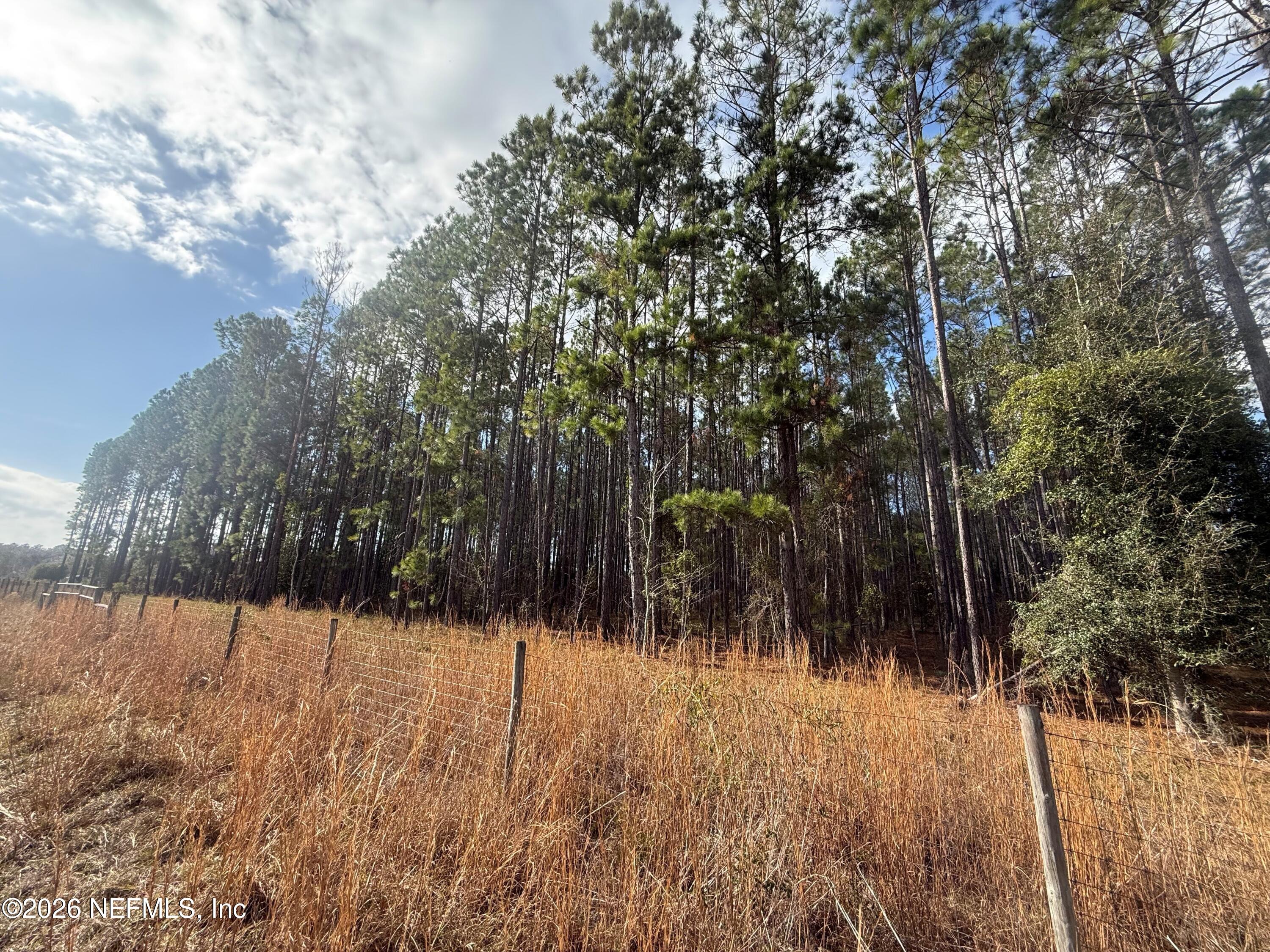 0 Southwest State Road 121 Lake Butler, FL 32054 - Photo 11 of 13 a view of a yard