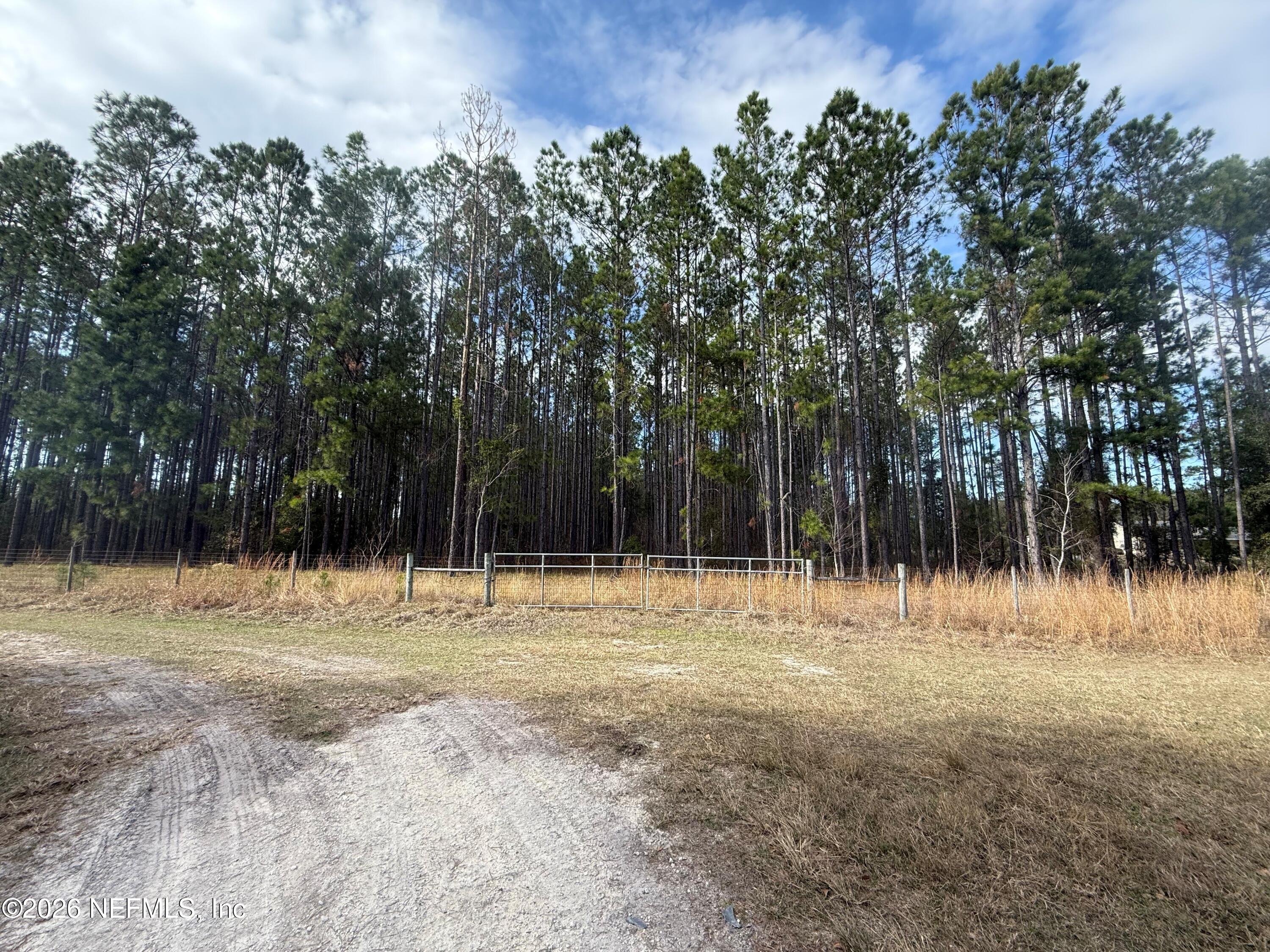 0 Southwest State Road 121 Lake Butler, FL 32054 - Photo 2 of 13 a view of back yard