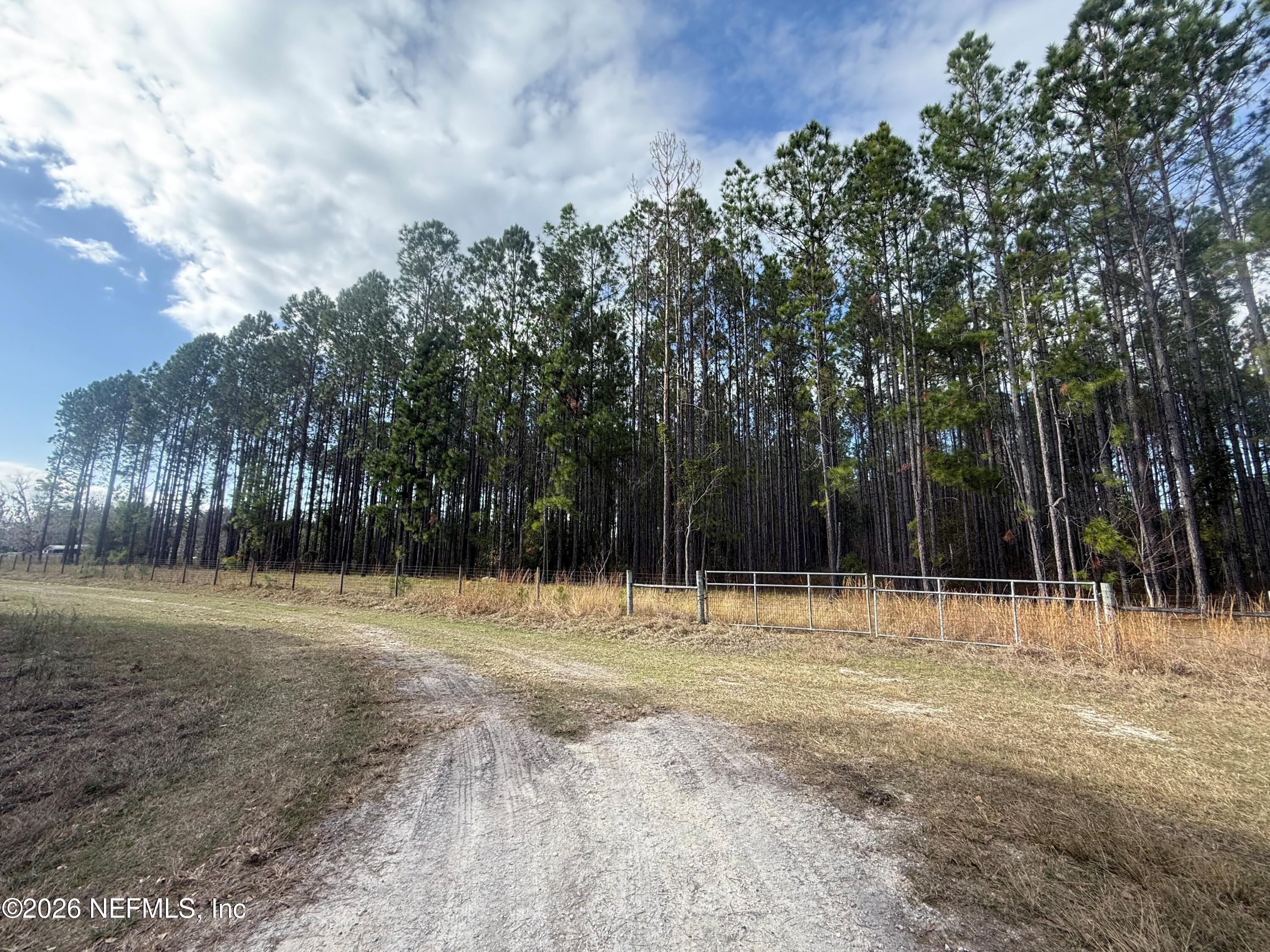0 Southwest State Road 121 Lake Butler, FL 32054 - Photo 3 of 13 a view of outdoor space with trees