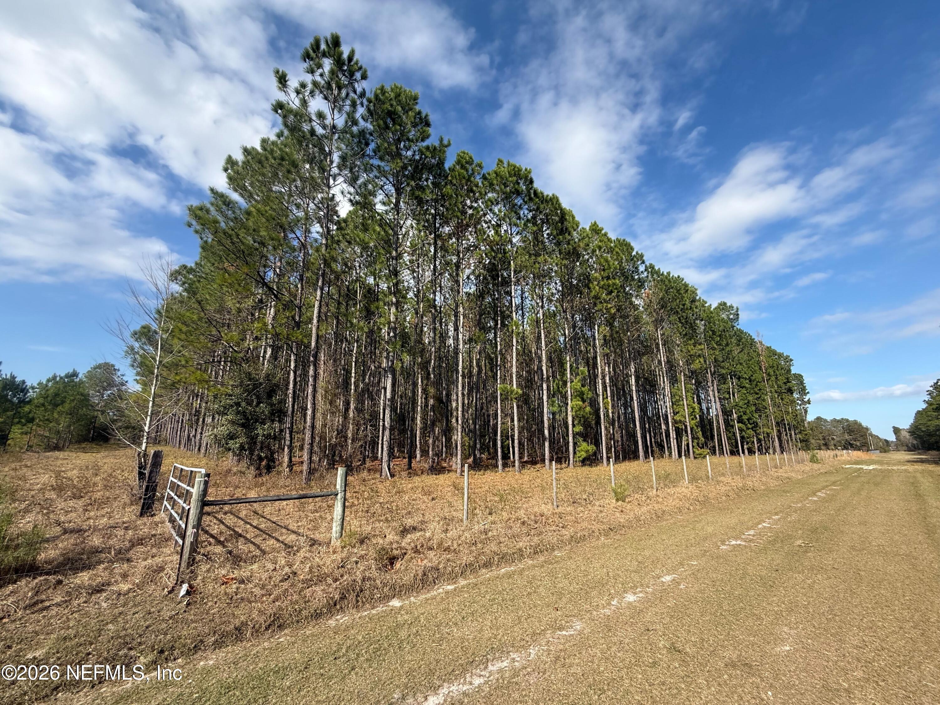 0 Southwest State Road 121 Lake Butler, FL 32054 - Photo 8 of 13