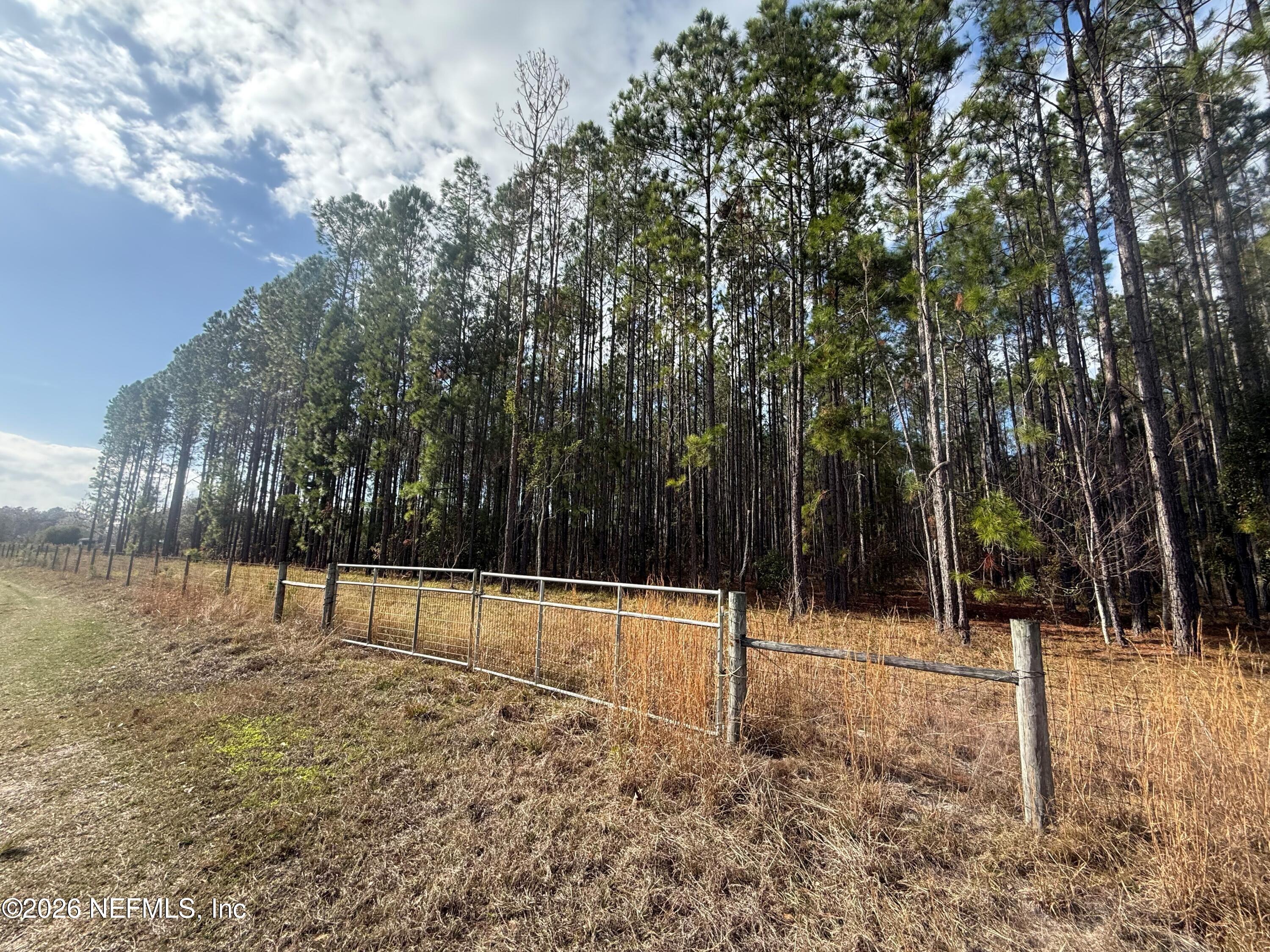 0 Southwest State Road 121 Lake Butler, FL 32054 - Photo 10 of 13 a backyard of a house with lots of tall trees
