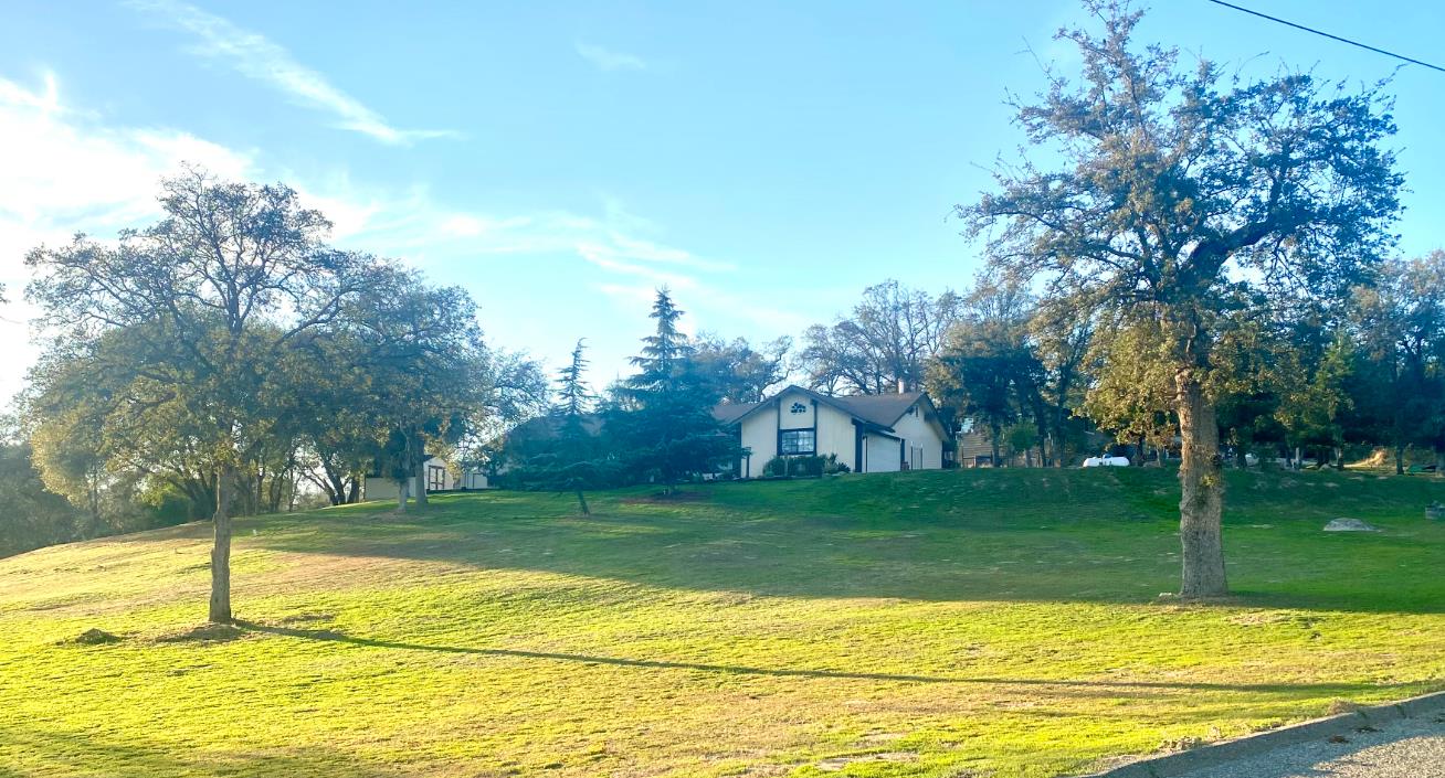 42607 Long Hollow Drive Coarsegold, CA 93614 - Photo 2 of 52 a view of a swimming pool with a big yard and large trees