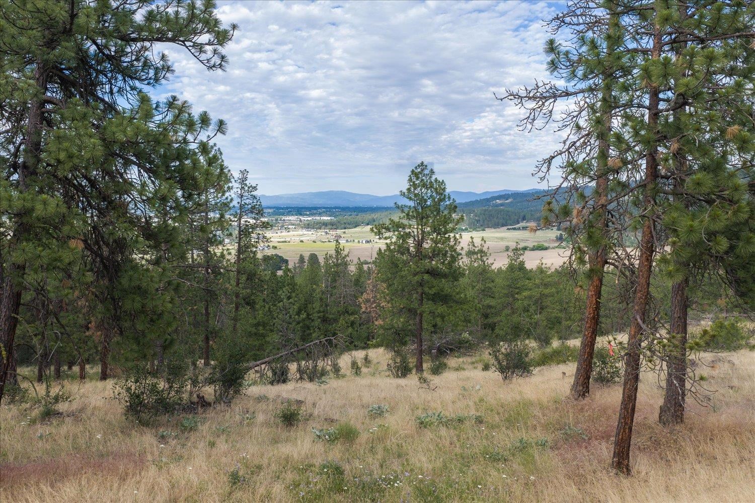 2712 North Chase Road Liberty Lake, WA 99019 - Photo 49 of 49