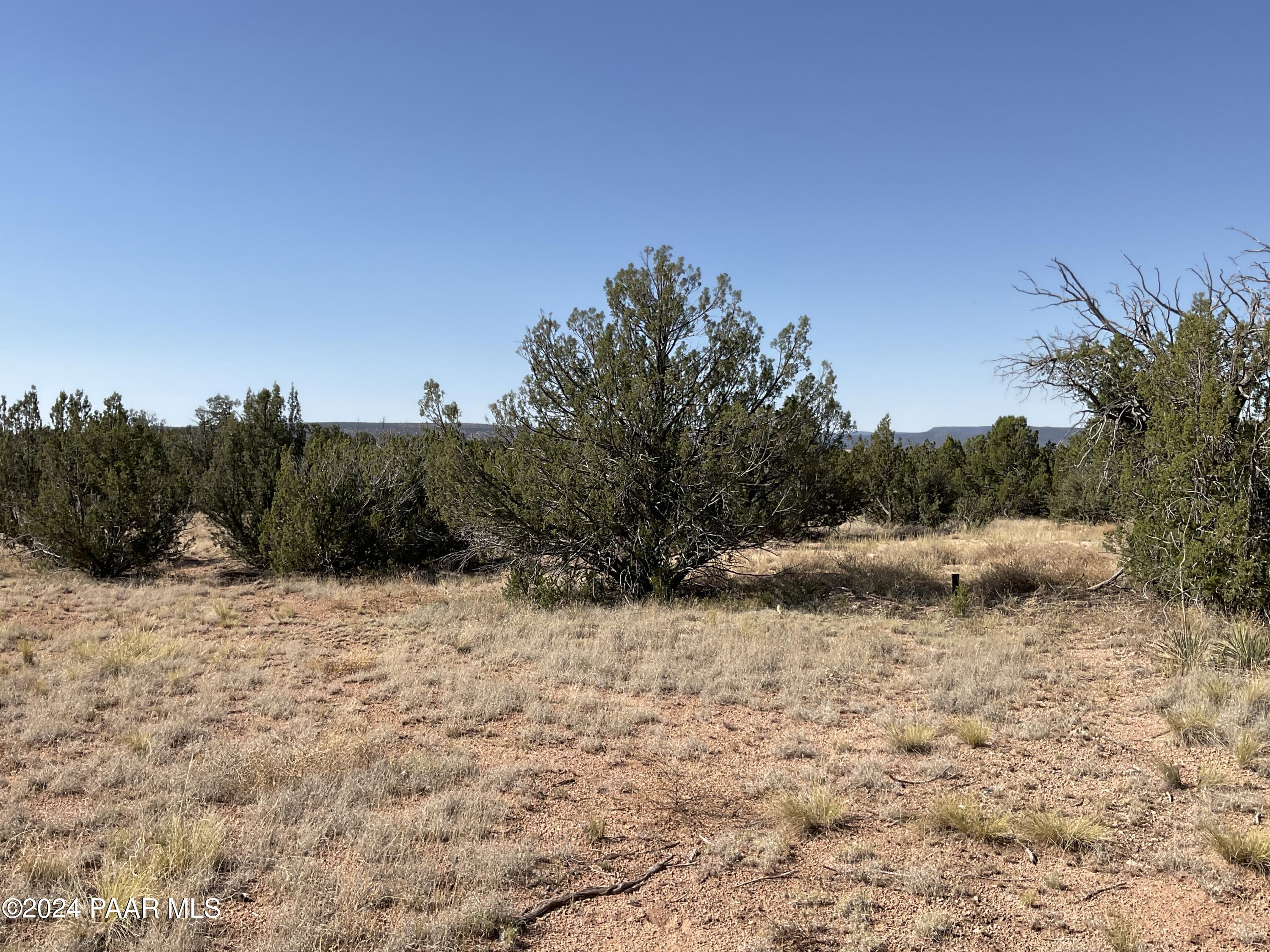 26797 Fort Rock Road Seligman, AZ 86337 - Photo 8 of 9 IMG_3107