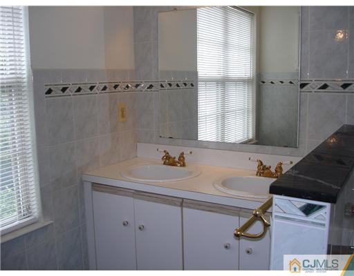 168 Salem Road North Brunswick, NJ 08902 - Photo 14 of 20 a bathroom with a sink and a mirror